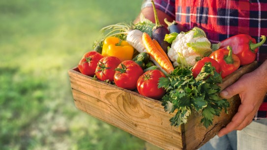 Outdoor Food Distribution